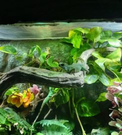 The National Aquarium Abu Dhabi