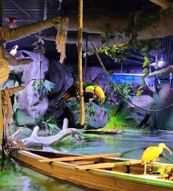 The National Aquarium Abu Dhabi