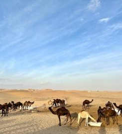 Emirates Tours And Safari