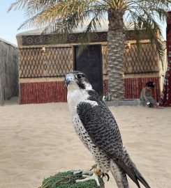 Emirates Tours And Safari
