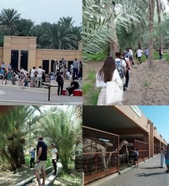 Emirates Tours And Safari