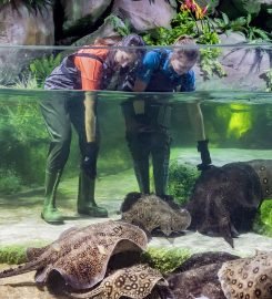 The National Aquarium Abu Dhabi