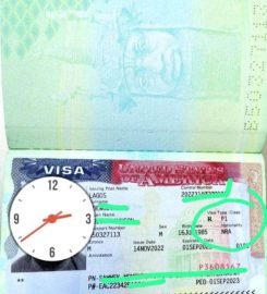 Oribilly Travel And Tour