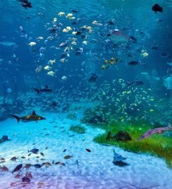 The National Aquarium Abu Dhabi