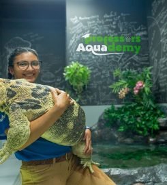The National Aquarium Abu Dhabi