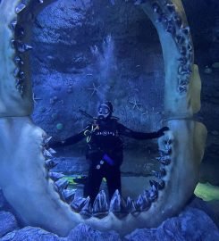 The National Aquarium Abu Dhabi