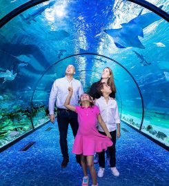 The National Aquarium Abu Dhabi