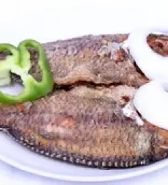 JT Tasty Restaurant Abu Dhabi