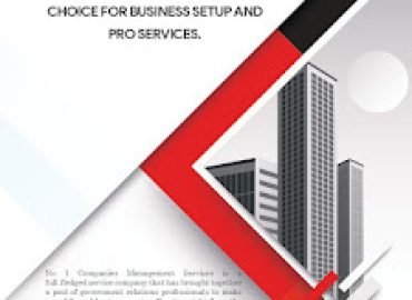 Number One Companies Management Services