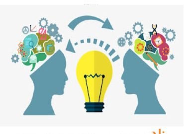 ZAD business consultationØŒ feasibility studies consultation